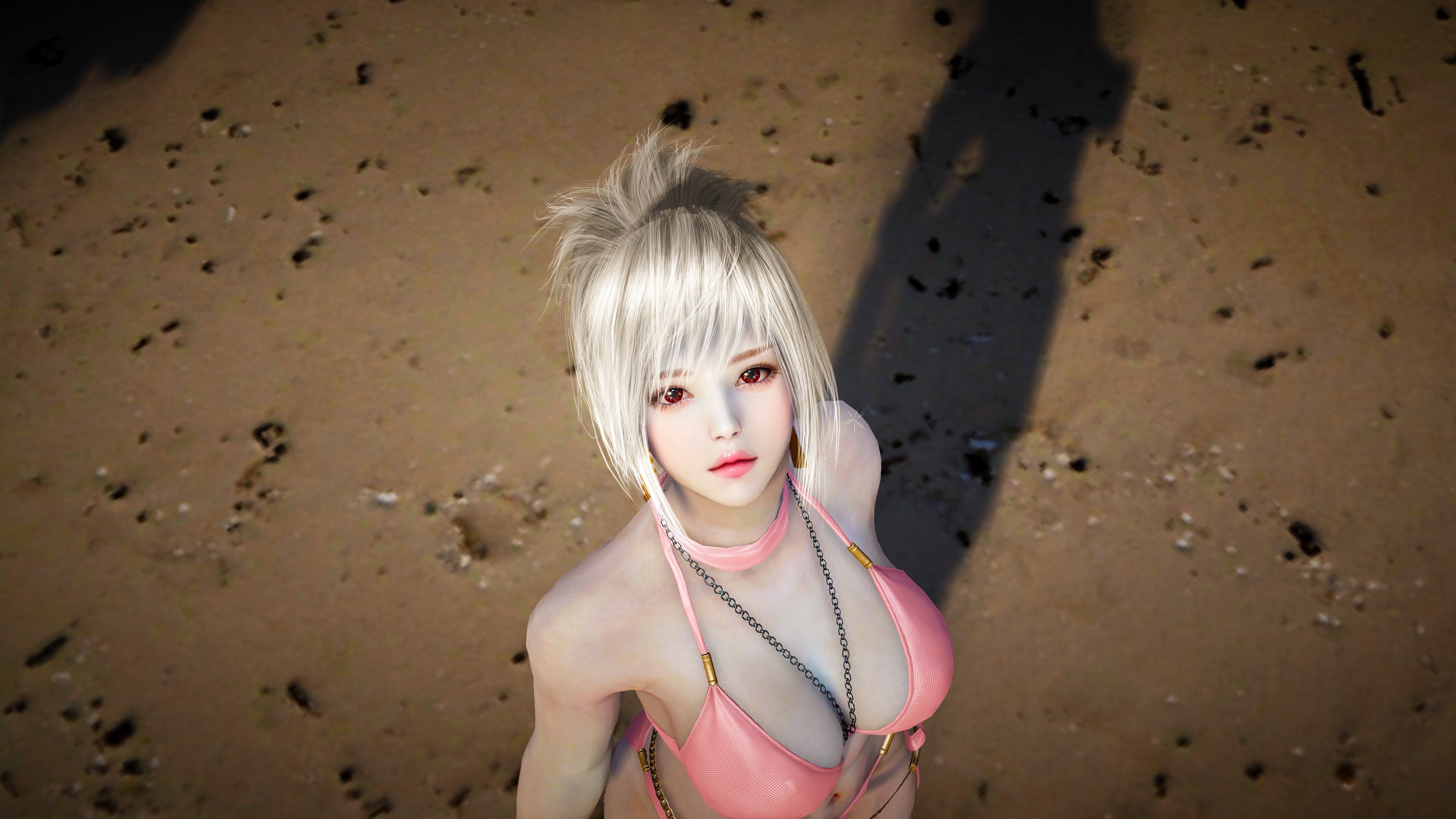 黑色沙漠 - pearlabyss