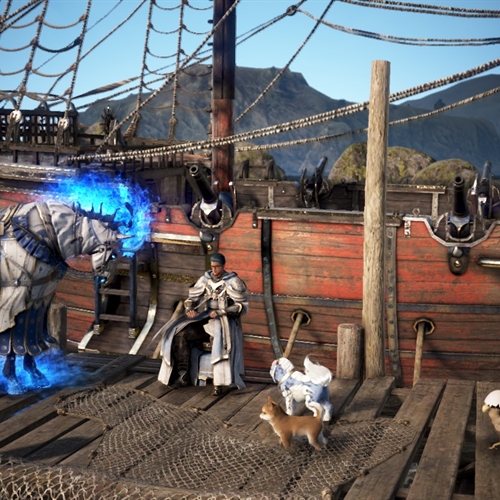 scs_1_25110612424496034_thumb