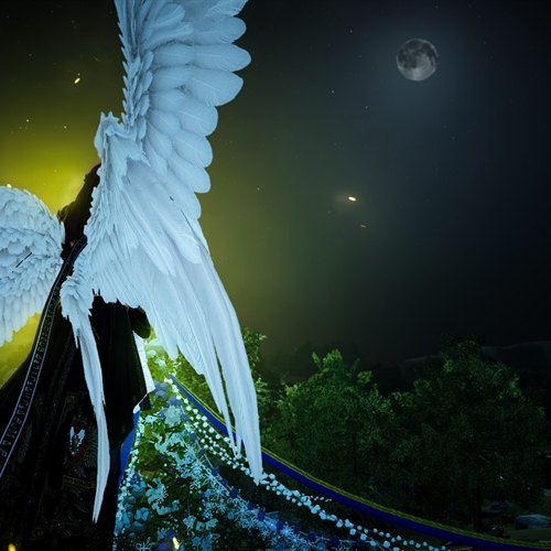 scs_6_25121809305064183_thumb