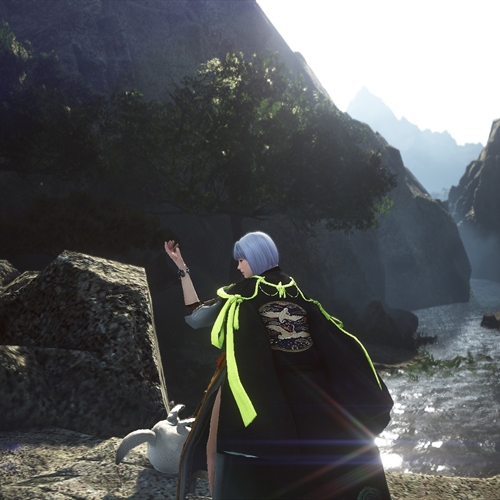 scs_1_25082112485620856_thumb