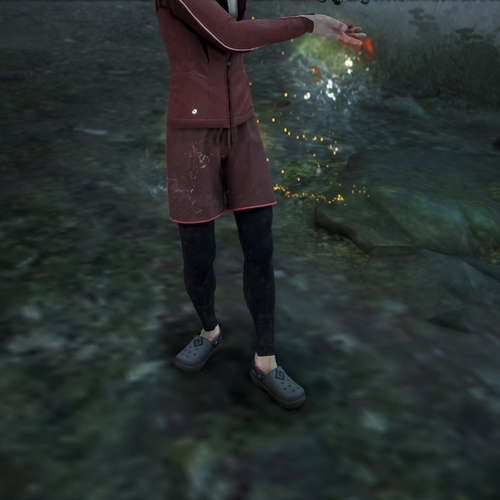 scs_3_25080704053620345_thumb