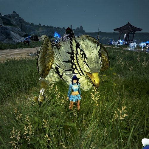 scs_5_2601011219485524_thumb