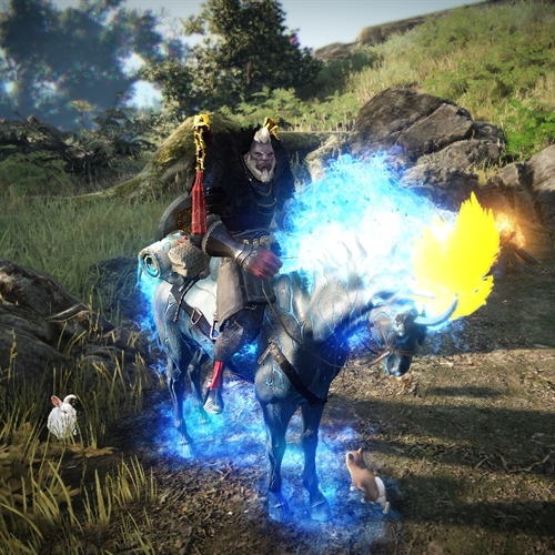 scs_2_26011411000424218_thumb