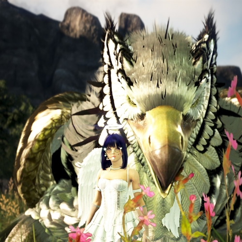 scs_4_26011710592436520_thumb