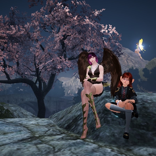 scs_1_26041512534191991_thumb