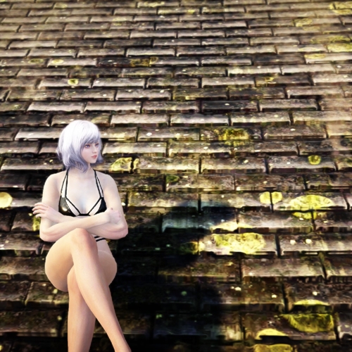 scs_1_26051207103577278_thumb