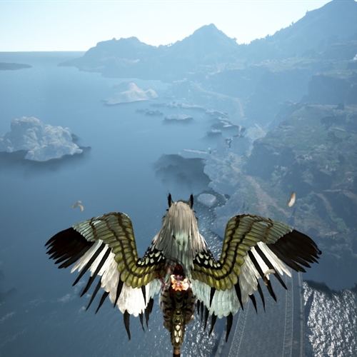 scs_5_26050305195322736_thumb