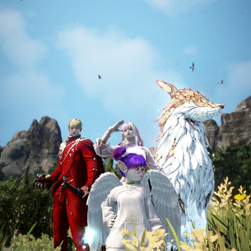 scs_1_26081010312595199_thumb