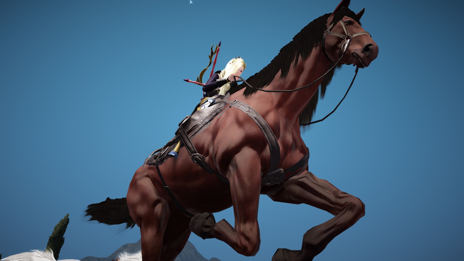 フォトギャラリー 馬の走る姿はかっこいいです 黒い砂漠 日本