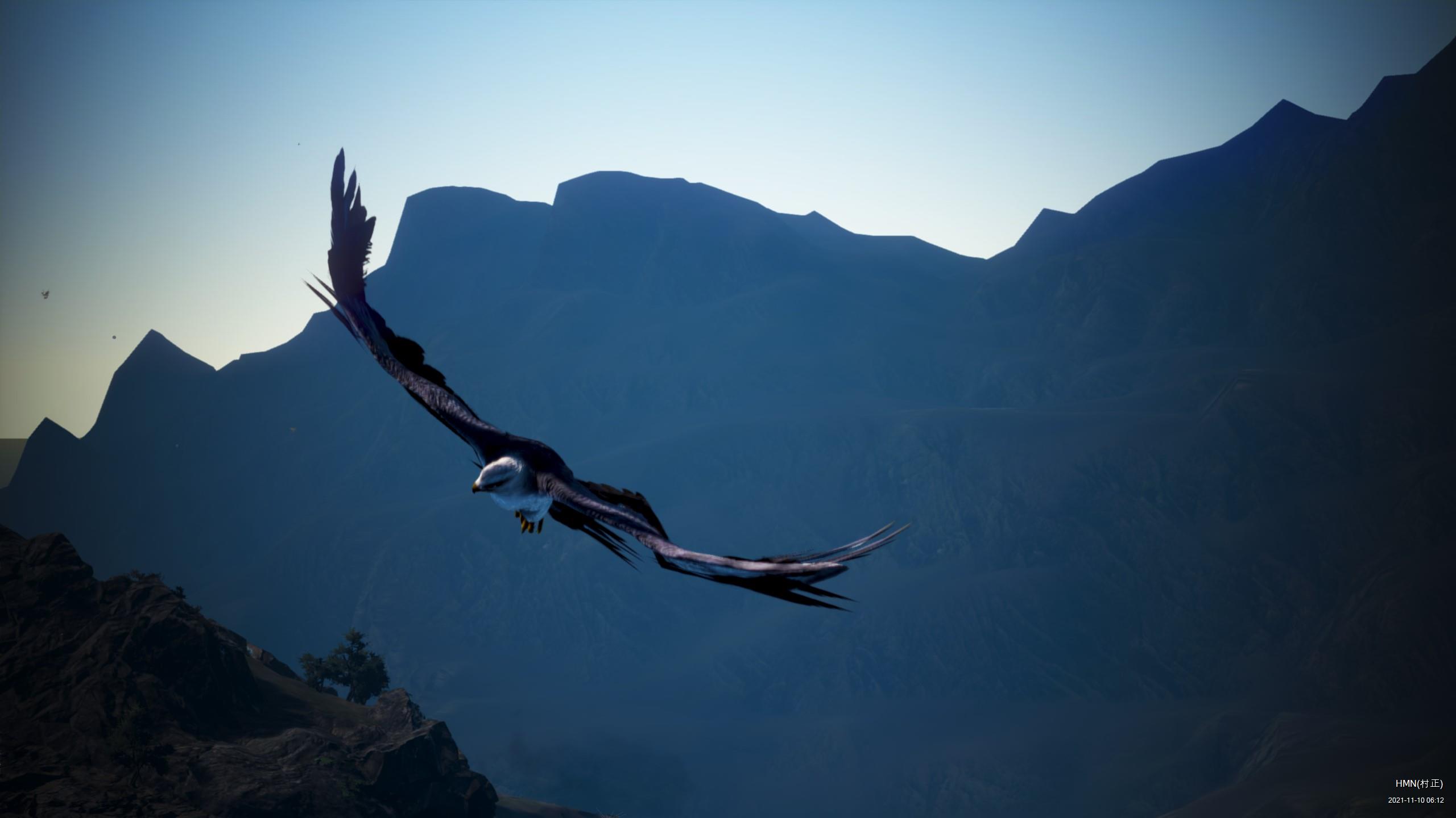 [フォトギャラリー] 鷹侍 黒い砂漠 日本