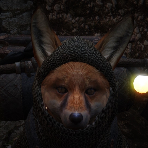 scs_1_2411290858230294_thumb