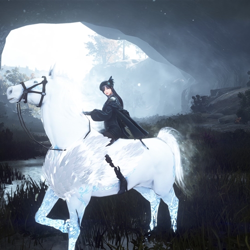 scs_1_24113002151011140_thumb