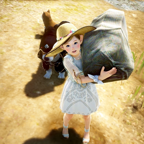 scs_1_24090111353123172_thumb