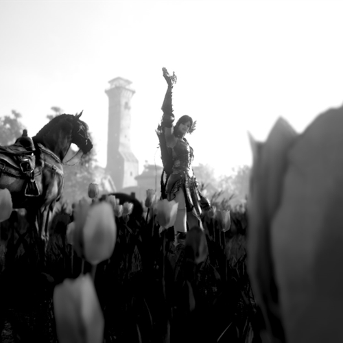 scs_1_25101004133585660_thumb