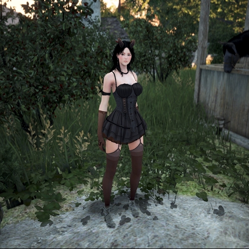 scs_1_25102412193798769_thumb