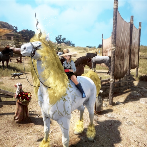 scs_1_25102510363822688_thumb