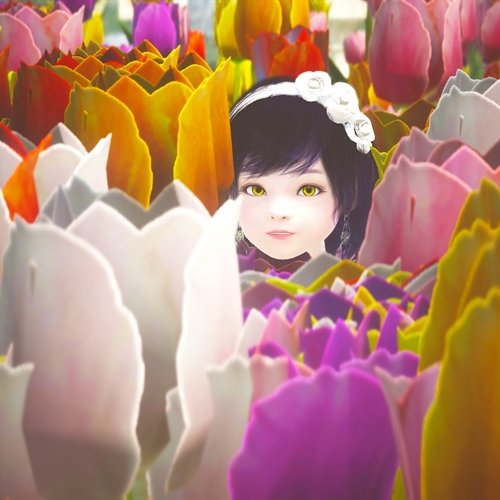 scs_1_25100710543921530_thumb