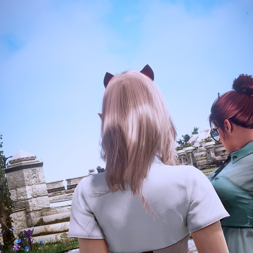 scs_3_25100904001675291_thumb