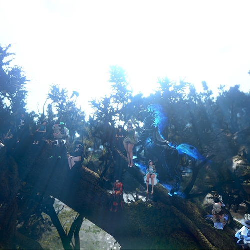 scs_1_25111109455191596_thumb