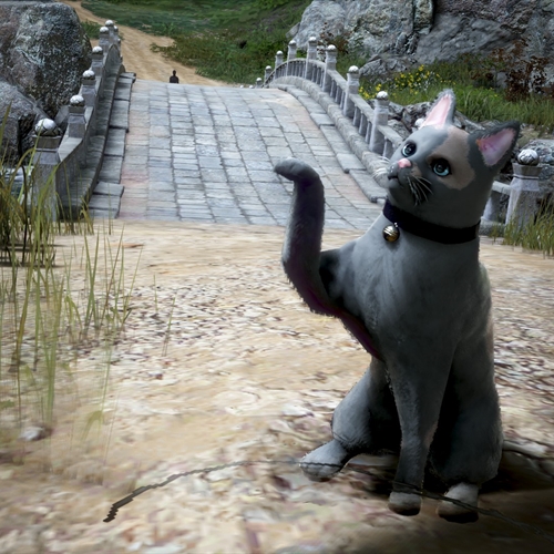 scs_6_25111503513123787_thumb