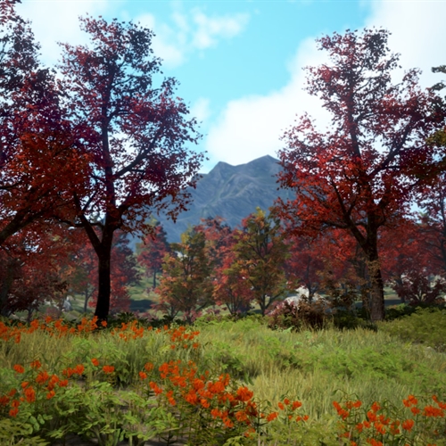 scs_1_25112206444474155_thumb