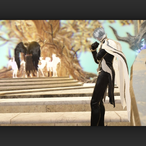 scs_1_25110303545529748_thumb