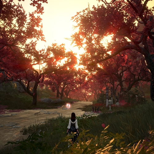 scs_1_25113008092181467_thumb