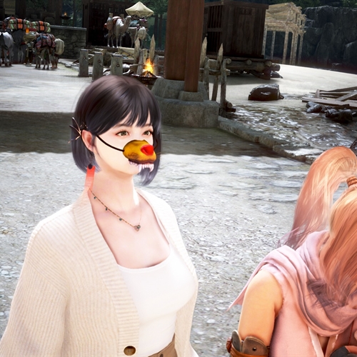 scs_1_25121308263973029_thumb