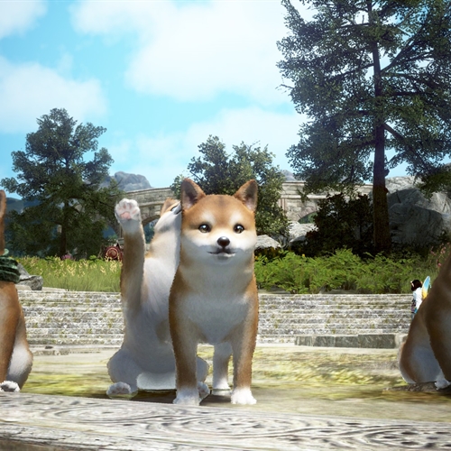 scs_3_25121302550720420_thumb