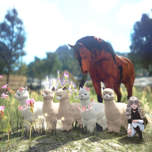 scs_3_25081911481943112_thumb