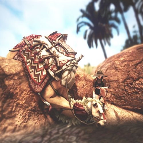 scs_4_25082005495674989_thumb