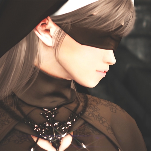 scs_4_2508080508306553_thumb