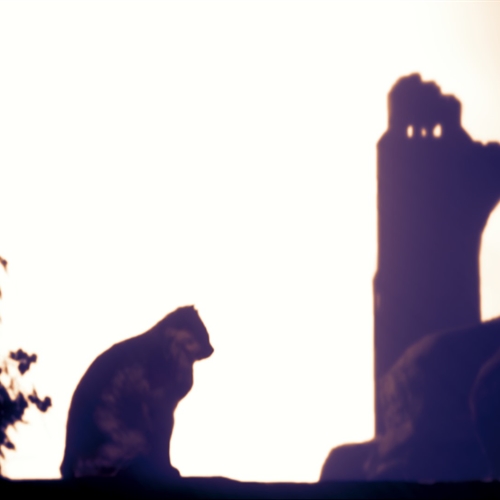 scs_1_2509090216542123_thumb