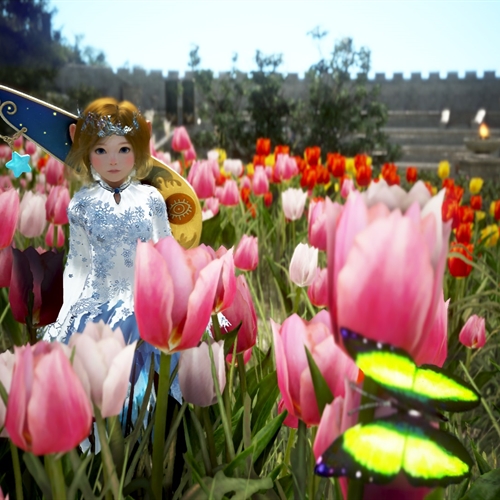 scs_1_26012906300437551_thumb