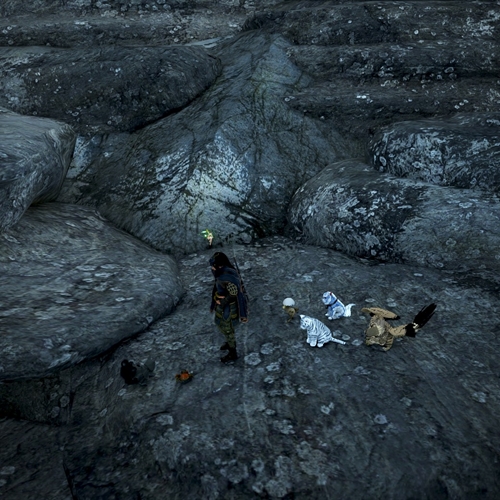 scs_1_26101504394934666_thumb