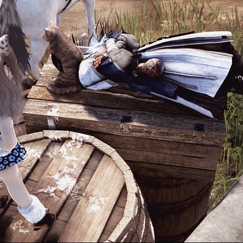 scs_6_26101811413490263_thumb