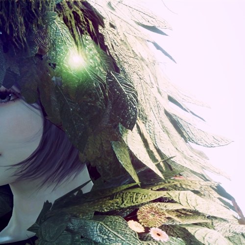 scs_1_26021011232575045_thumb