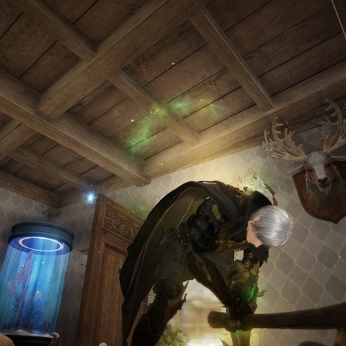 scs_1_26021110363849464_thumb