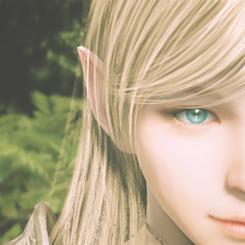 scs_1_26021510384219163_thumb