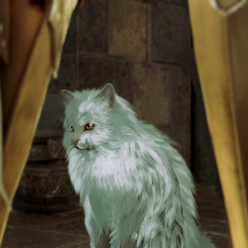 scs_1_26021711160329440_thumb