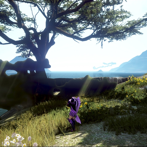 scs_1_26022106474784311_thumb