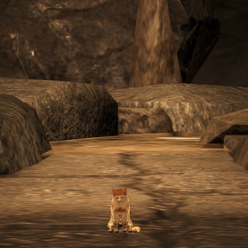 scs_4_26022211242047953_thumb