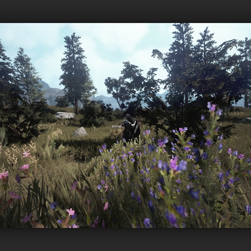 scs_2_26022805241150832_thumb