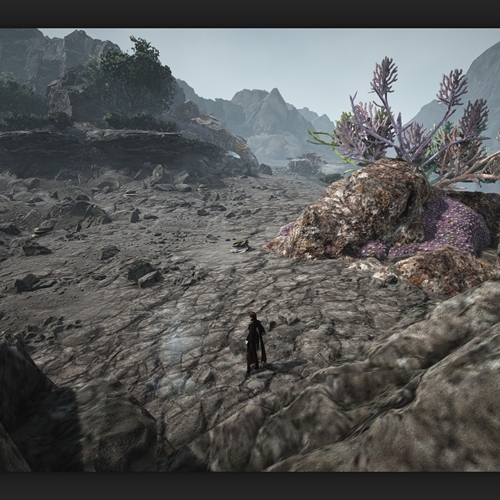 scs_1_26031106113666566_thumb