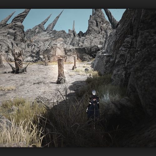 scs_1_26031201250896591_thumb