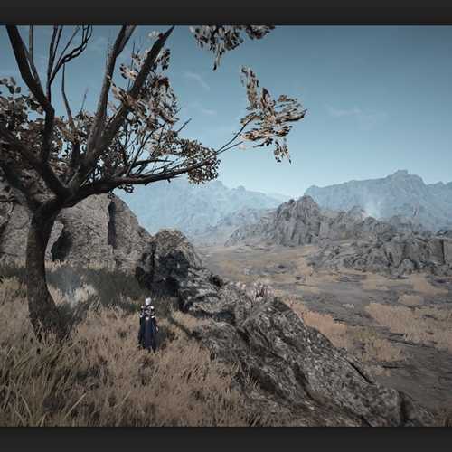 scs_1_26031212584498037_thumb