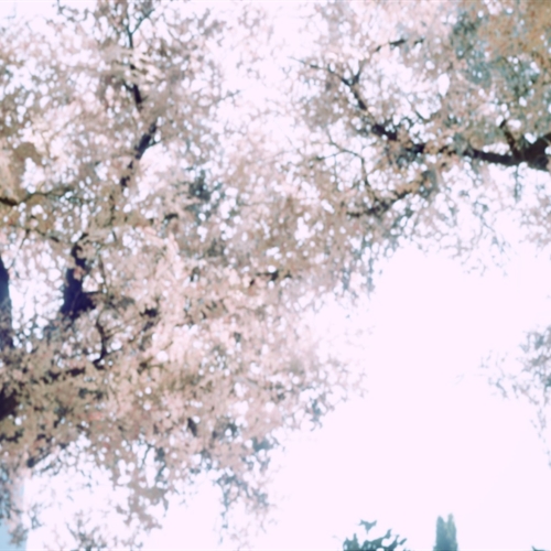 scs_1_26032007280328486_thumb