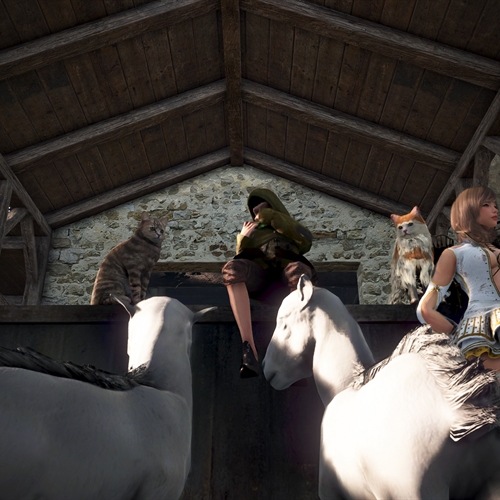 scs_1_26032108511495423_thumb