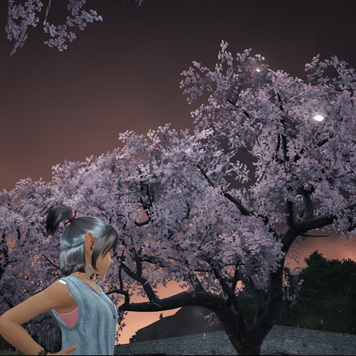 scs_4_26032208515111864_thumb