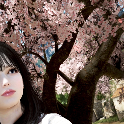 scs_4_26032301111161732_thumb